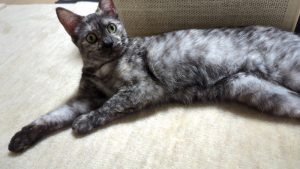 能登島カヤックフィッシングデビュー