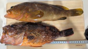 冬季カヤックについて