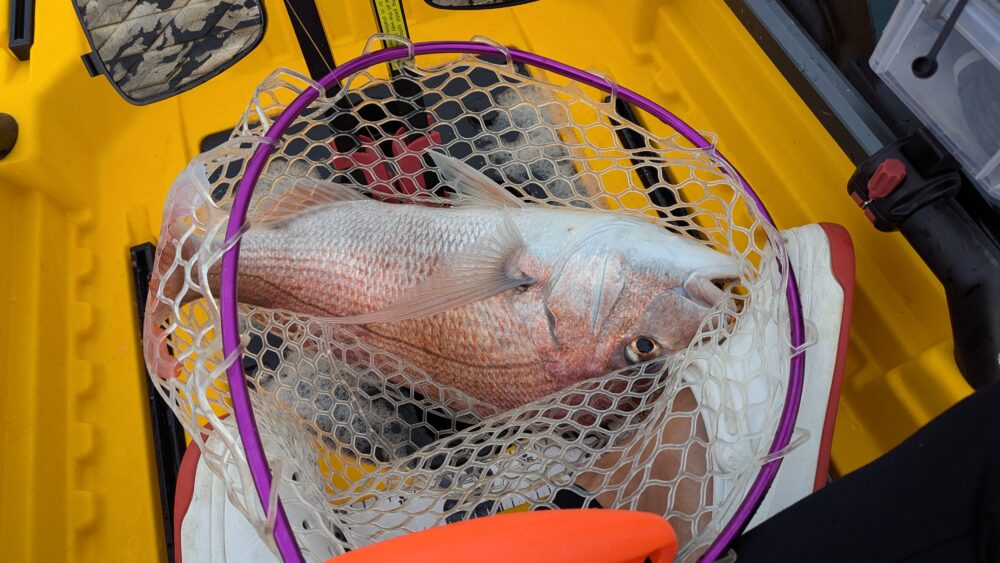 能登、新ポイントにて