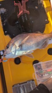 能登、新ポイントにて