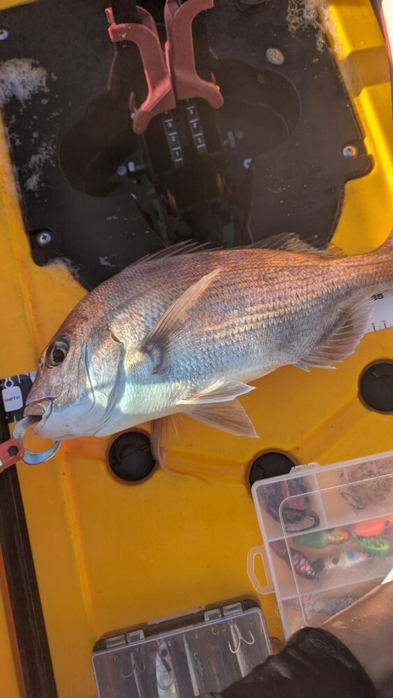 能登爆釣ポイント3日目