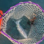 2025年10月-能登島ティップランエギング